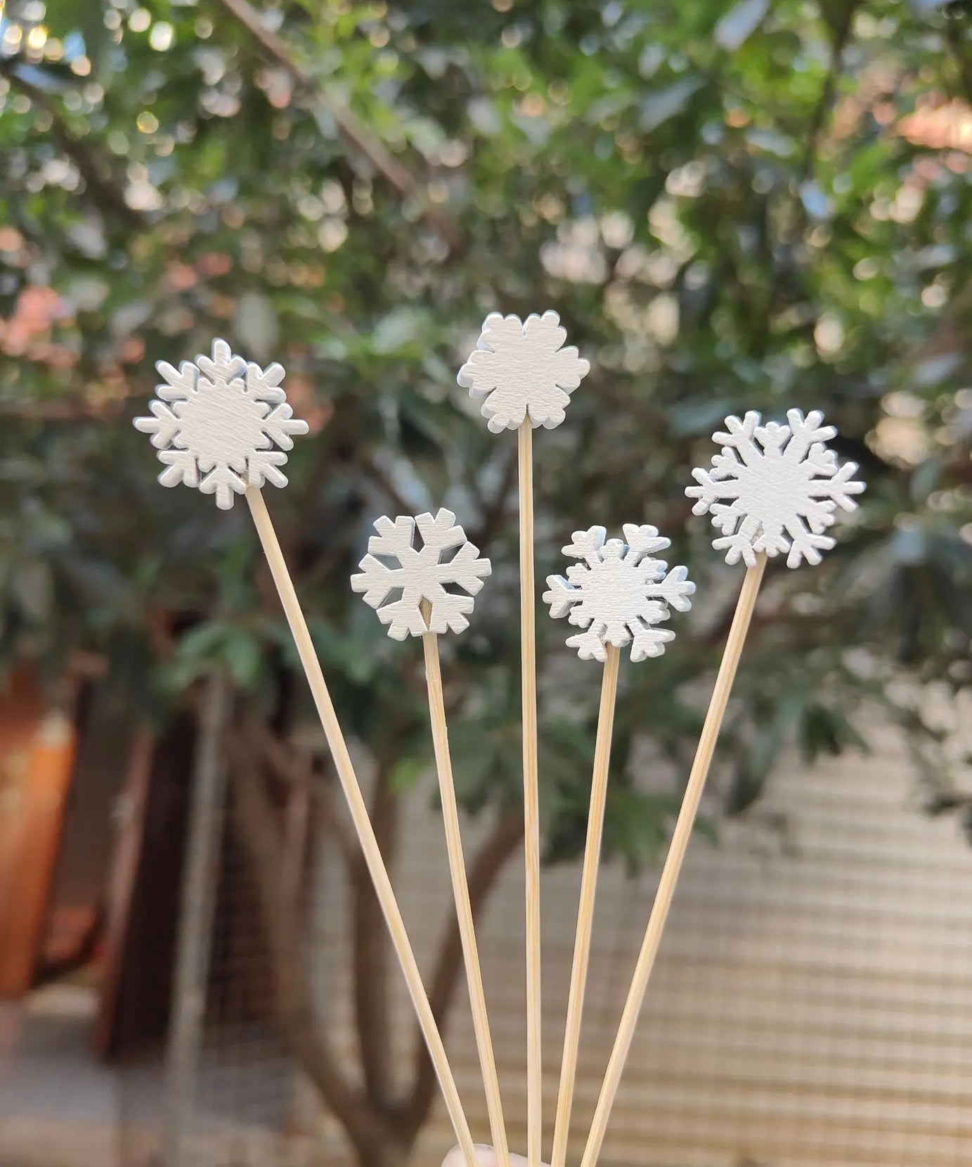 Christmas Fruit Sticks